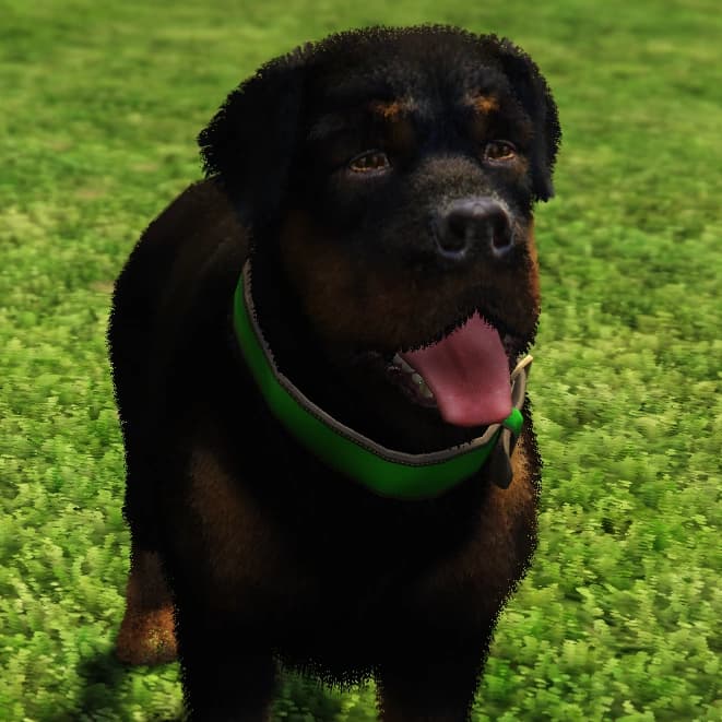Chop, as they appear in GTA V.