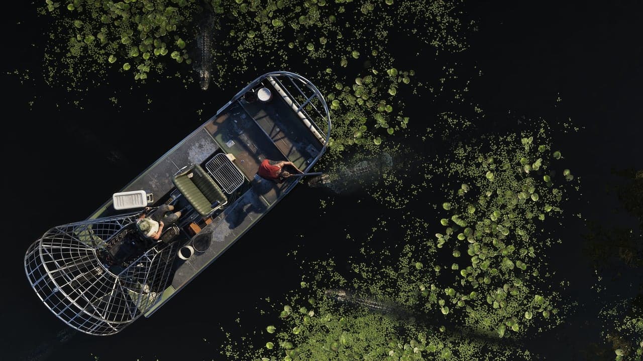 An airboat seen from directly above on dark Grassrivers water, cutting a wake between rafts of lily pads with alligators alongside.