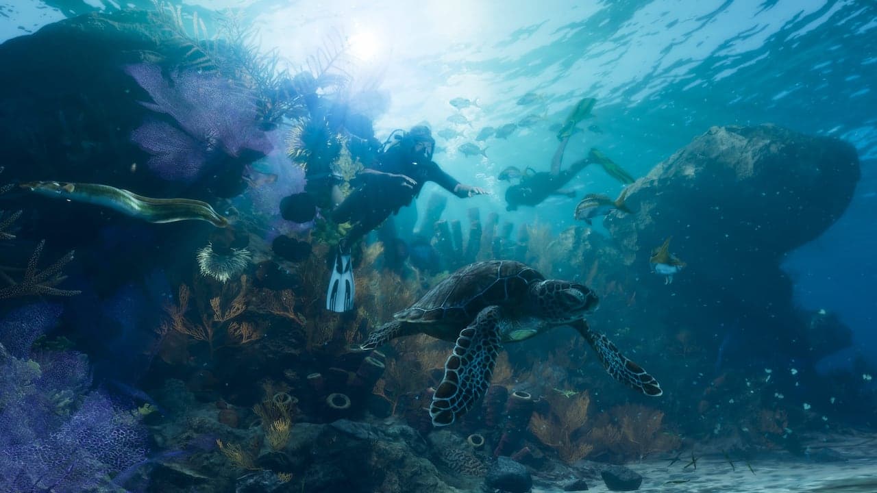 An underwater reef off the Keys, a sea turtle over the coral and divers in the sunlit water above.